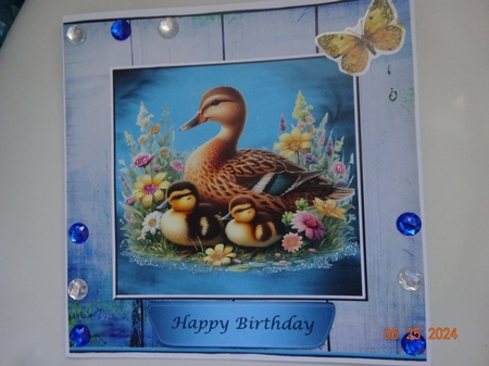 Ducks on the Water (2) by Marion West