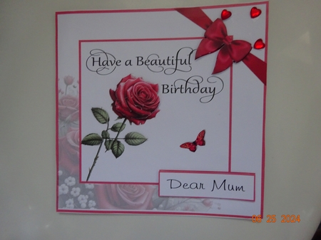 Red Rose For You by Marion West