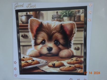 Puppy Cookies 8 by Marion West