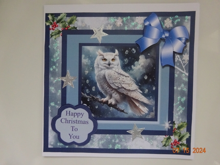 Winter owl by Marion West