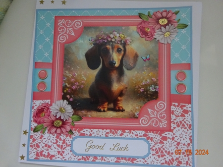 Pink and blue painted Dachshund card front 1 by Marion West