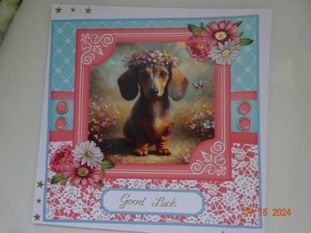 Pink and blue painted Dachshund card front 4 by Marion West