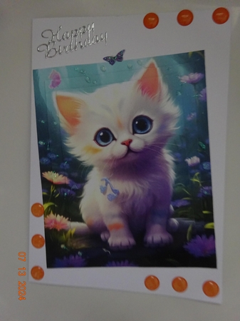 Pretty White Kitten  Pyramids by Marion West