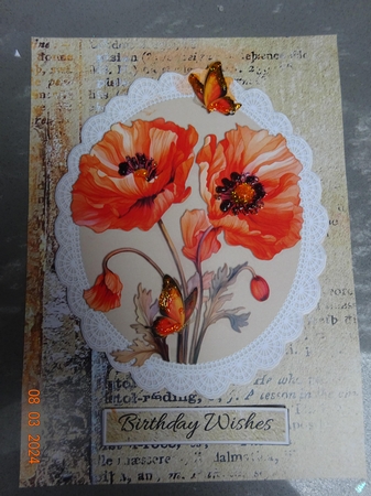 Lovely Poppies And Butterflies by Marion West