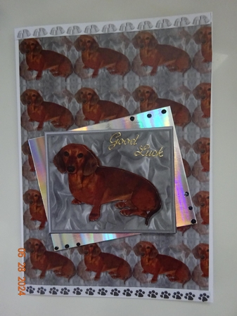 Dachshund 3D Decoupage with Background by Marion West