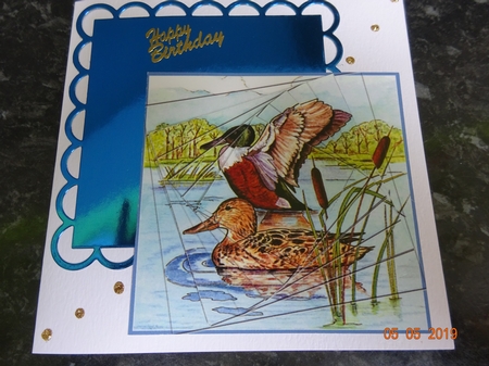 Northern Shoveller Duck : Easy-position Spiral Pyramid by Marion West