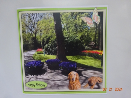 For Dog and garden lovers by Marion West