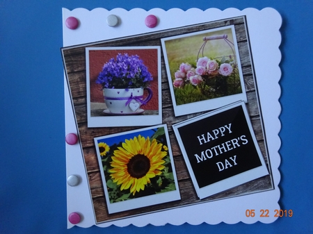 FLOWERS FOR YOU 6X6 by Marion West