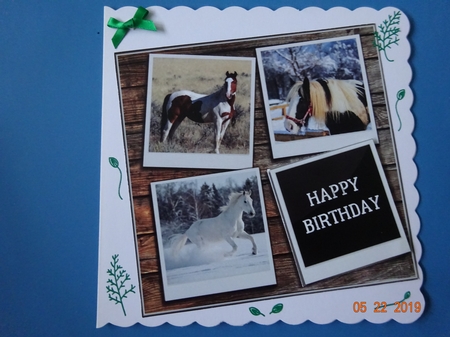 HORSES 6X6 by Marion West