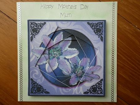 Clematis Tunnel Topper by Marion West