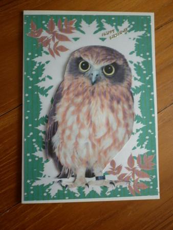 My Featherd Friend by Marion West