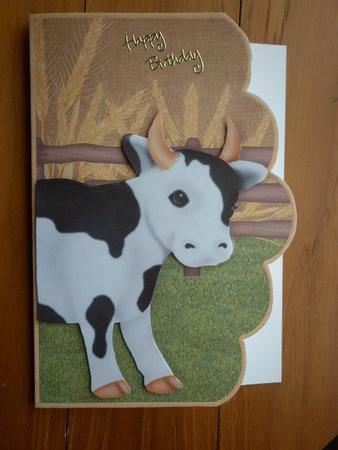 Bully for You, Out on the Farm Scallope Curve Card by Marion West