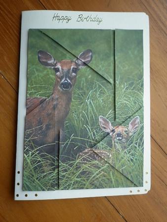 Oh Deer Camera Eye Stacker by Marion West