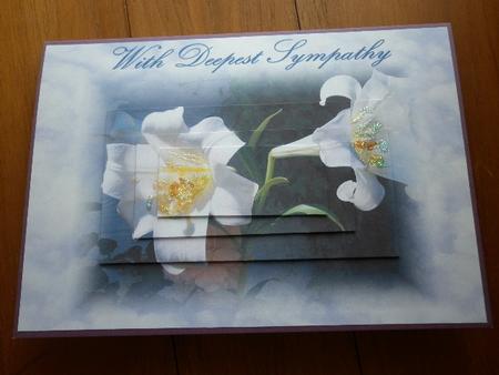 Sympathy Lily by Marion West