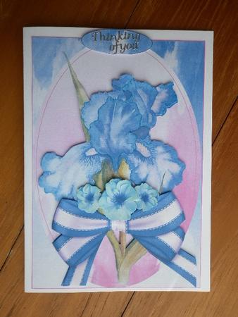 Blue Iris Step by Step by Marion West
