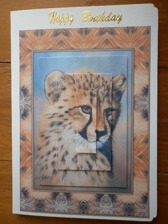 Cheetah Cub 2 by Marion West