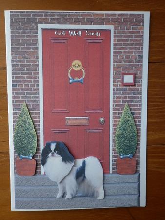 Japanese Chin with a Red Door by Marion West