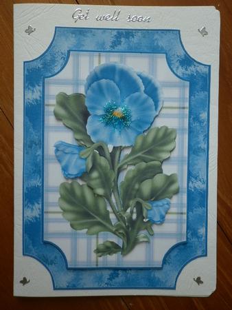 Pretty Aqua Pansy by Marion West
