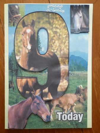 Horse 9 by Marion West