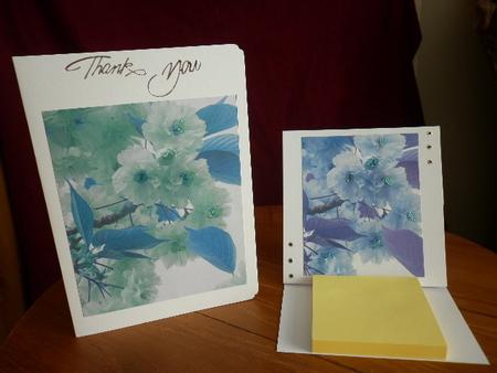 Blossom Birthday Wishes Featured Gallery Photo