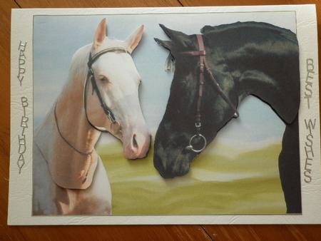Love Horses Decoupage by Marion West