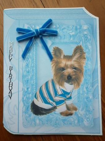 Little Cute Terrier in Blue Frame, Folded Book by Marion West