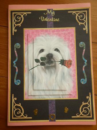 Who's a Cutie Then Pyramage by Marion West