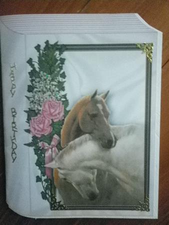 Beautiful Horses Heads Entwined Folded Book by Marion West