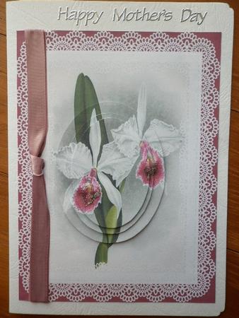 Iris Vintage by Marion West
