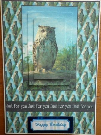 Ollie the Owl Two by Marion West