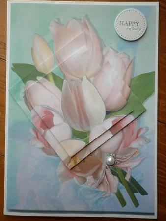 Tulip Kiss by Marion West