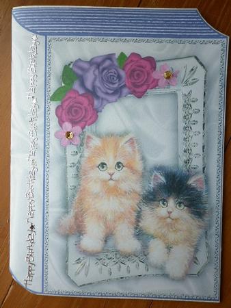 Cute Little Kittens in Silver Frame Folded Book by Marion West
