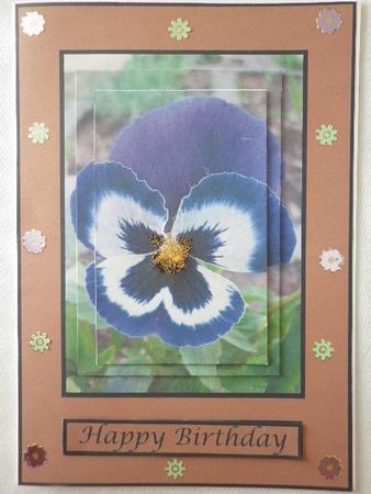Blue Pansy Quick Card by Marion West