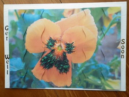 Orange Pansy Wavy Side Stacker by Marion West