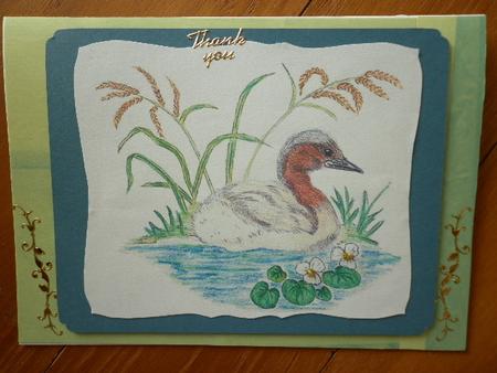 Hand-drawn Duck (grebe) 2 by Marion West