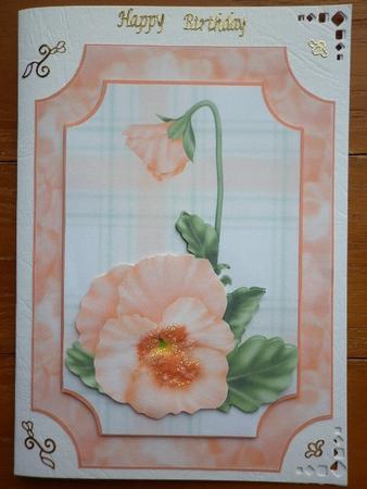 Pretty Apricot Pansy by Marion West