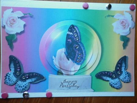 Globe Butterfly by Marion West