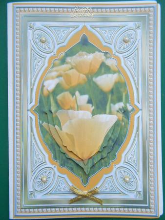 Californian Poppies Anniversary Card by Marion West