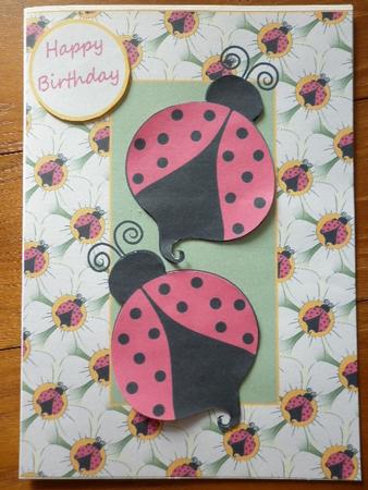 Lady Bird Lady Bird Fly Away Home by Marion West