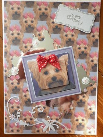 Yorkshire Terrier Pyramid with Background by Marion West