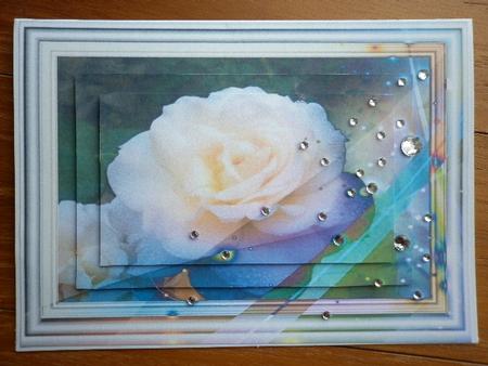 Framed Rose by Marion West