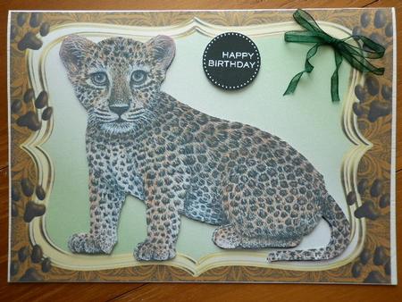 Beautiful Lepard Cubs by Marion West