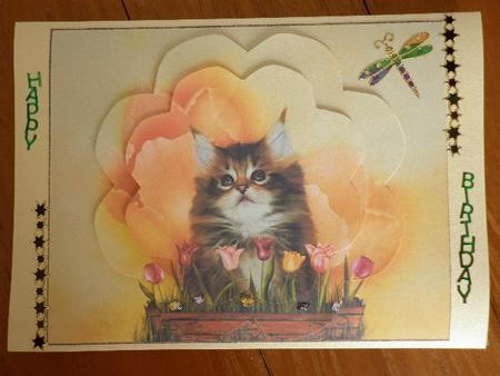 Send Flowers 3 by Marion West