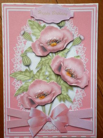 Lovely Pink Poppies by Marion West