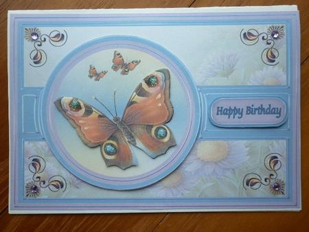 Peacock Butterfly by Marion West