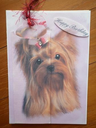 Yorkshire Terrier Birthday Bookmark Card by Marion West
