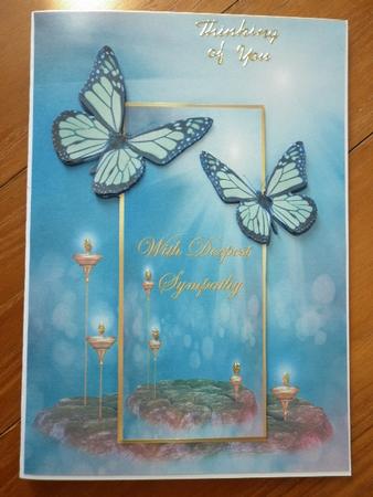 Sympathy by Marion West