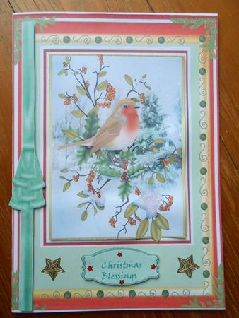 Beautiful Christmas Robin by Marion West