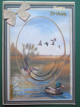 Lovely Pyramsrge Mallard Ducks by Marion West