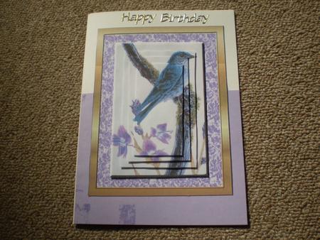 Blue Bird by Marion West